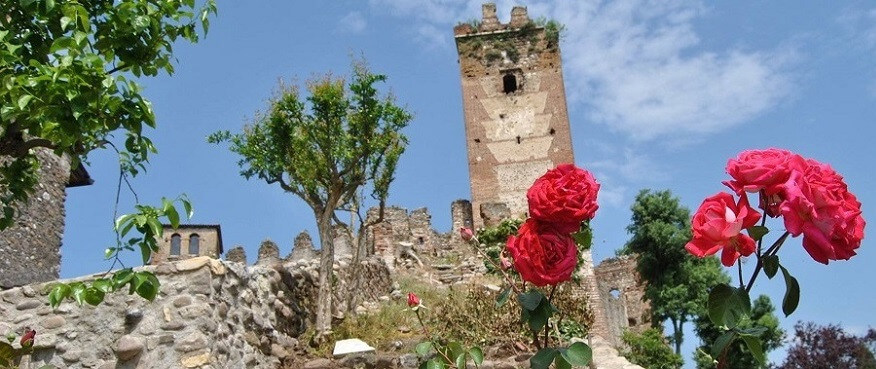 PONTI WELCOME CARD (Visit Forte Ardietti + Scaligeri Castle) 